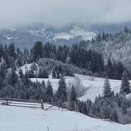 Dream House Verkhovyna *