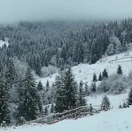 Dream House Verkhovyna *